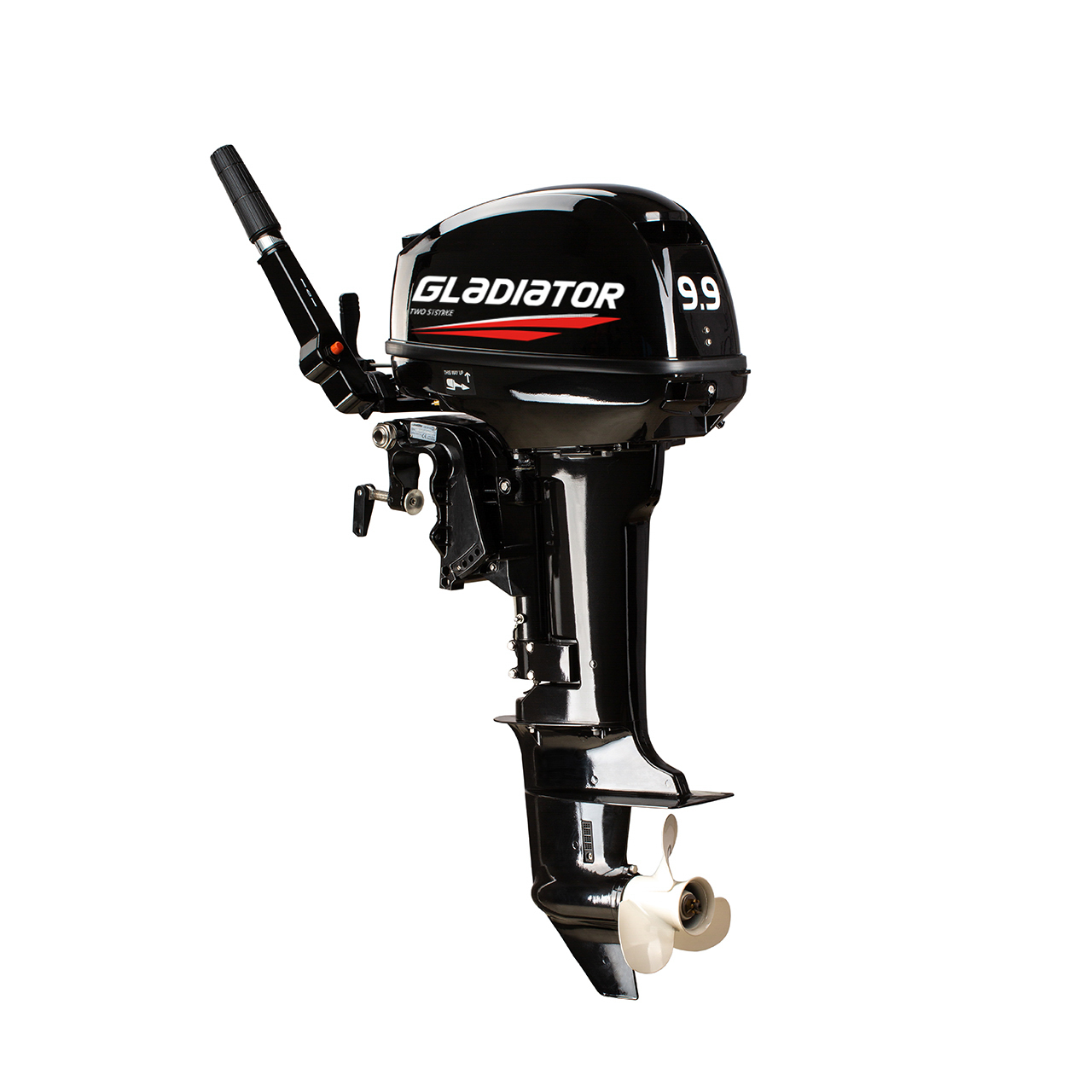 ЛОДОЧНЫЙ МОТОР GLADIATOR G9.9FHS в Ессентуках