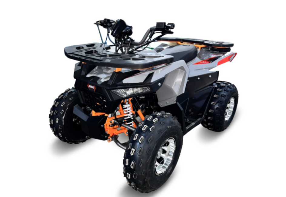 Квадроцикл GBM DAXTER 220 NEW PREMIUM в Ессентуках