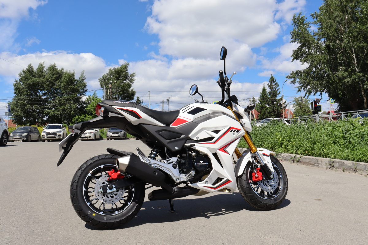 Мотоцикл PROMAX STRYKER 200(49) 2.0 в Ессентуках