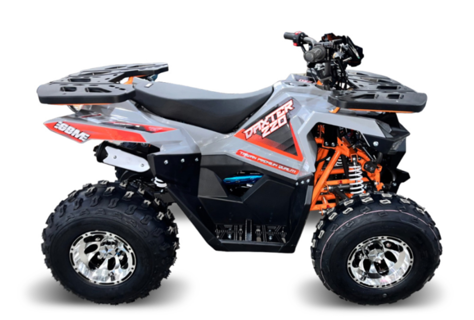 Квадроцикл GBM DAXTER 220 NEW PREMIUM в Ессентуках