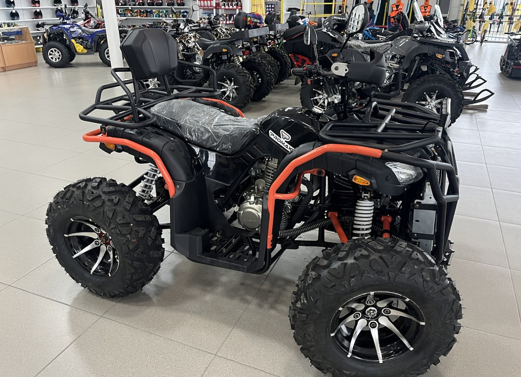 Квадроцикл PROMAX 300 4X4 ALL ROAD в Ессентуках