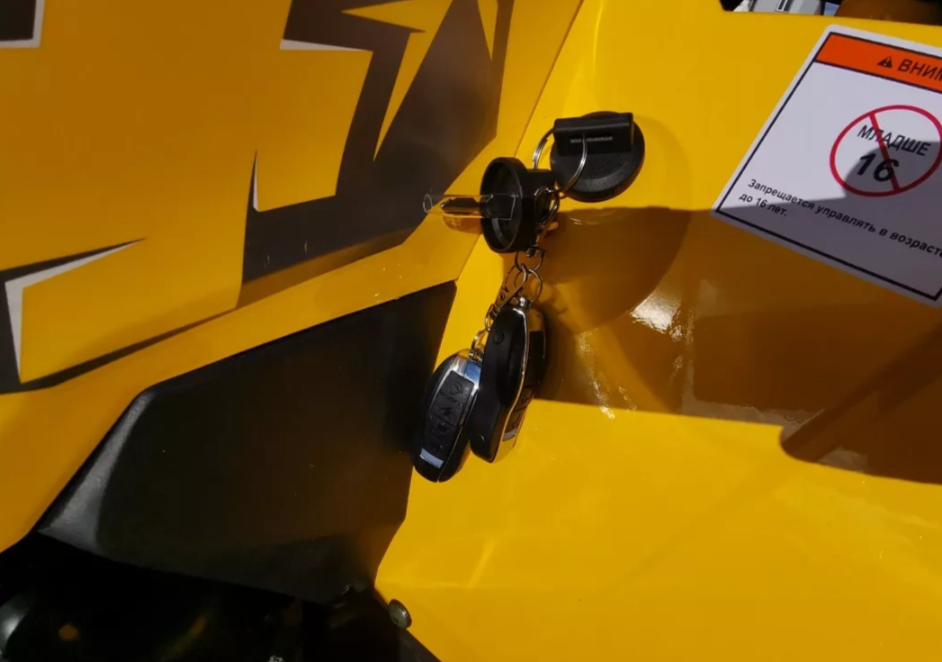 Квадроцикл MOTOLAND (МОТОЛЕНД) VOX200 WILD TRACK X PRO (баланс. вал) в Ессентуках