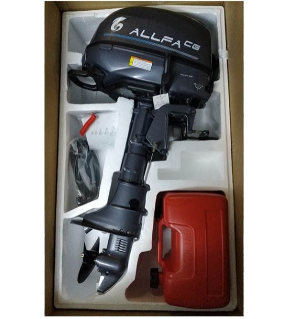 Лодочный мотор ALLFA CG F6 в Ессентуках