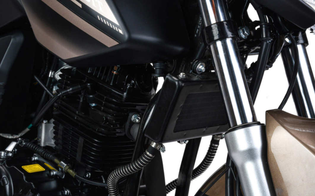 Мотоцикл MOTOLAND (МОТОЛЕНД) 300 BANDIT в Ессентуках