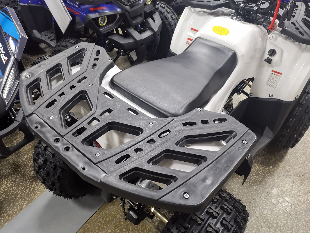 Квадроцикл PROMAX WILD 175 LUX в Ессентуках