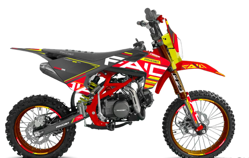 Питбайк FAIDET KAYOT 125E-PRO 17/14 в Ессентуках
