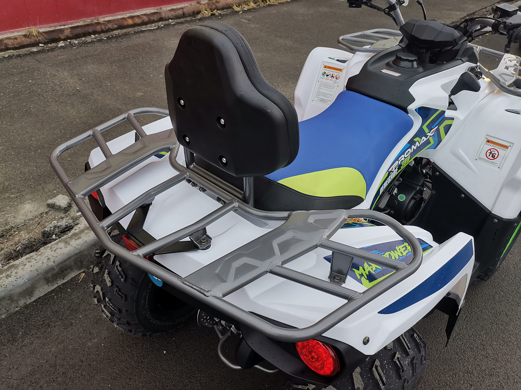 Квадроцикл PROMAX RENEGADE 280 LUX (2025) в Ессентуках