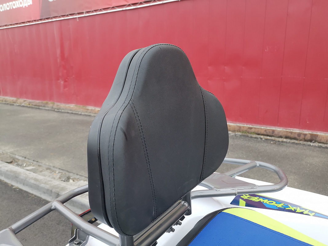 Квадроцикл PROMAX RENEGADE 280 LUX (2025) в Ессентуках