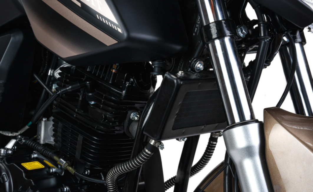 Мотоцикл MOTOLAND (МОТОЛЕНД) 300 BANDIT в Ессентуках