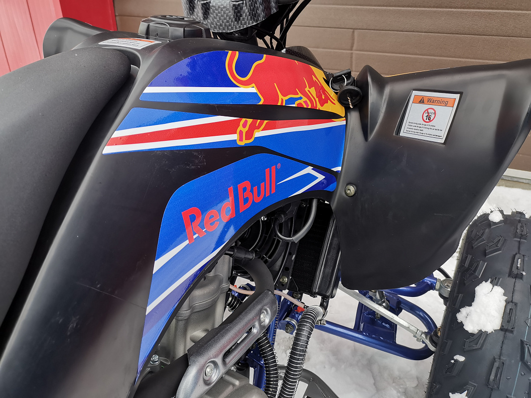 Квадроцикл PROMAX RAPTOR 300 NEW RedBull в Ессентуках