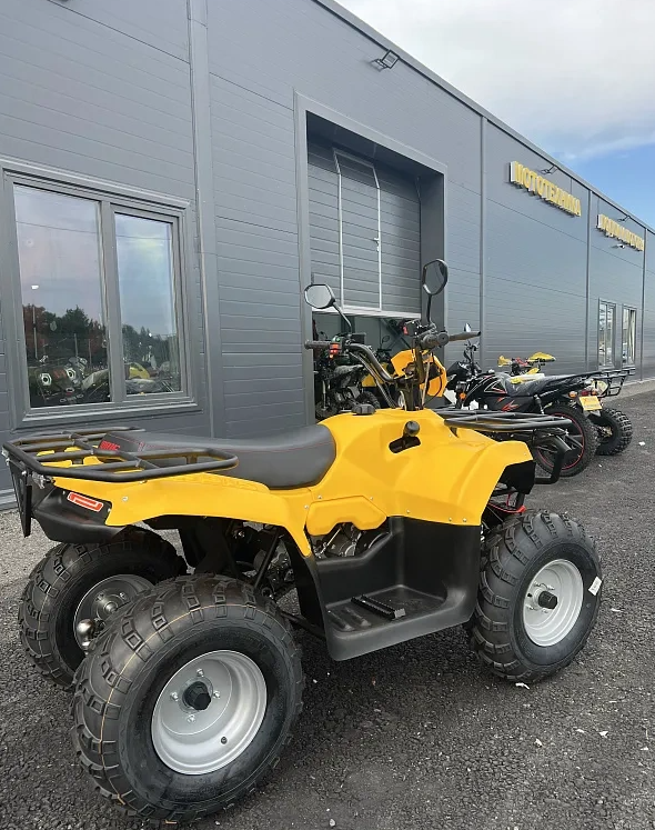 КВАДРОЦИКЛ IRBIS ATV 250  в Ессентуках