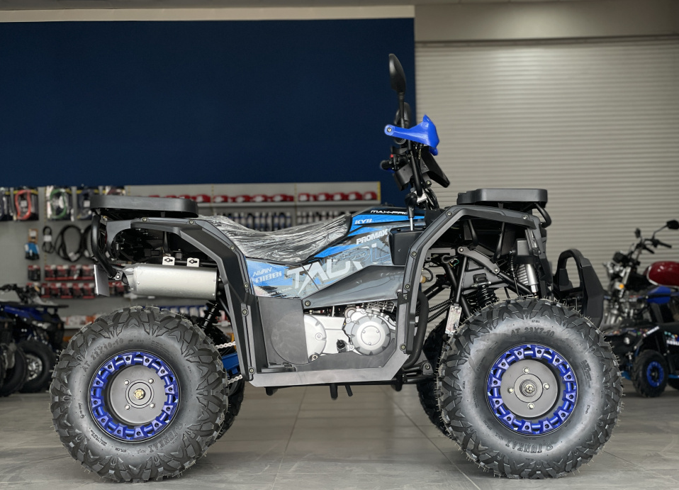 Квадроцикл PROMAX TAURUS 300 в Ессентуках