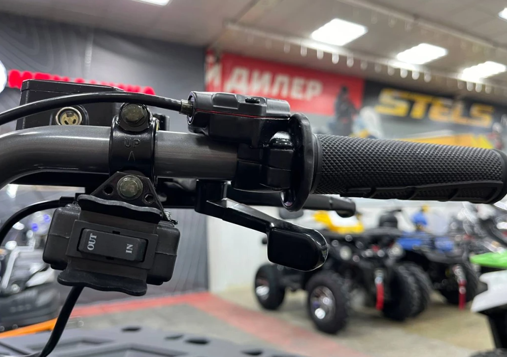 Квадроцикл PROMAX RENEGADE 300 LONG WINCH PRO (2025) в Ессентуках