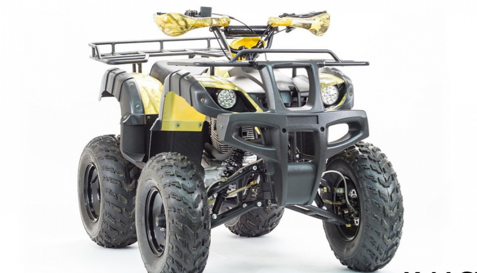 Квадроцикл MOTOLAND (МОТОЛЕНД) 250 ADVENTURE в Ессентуках