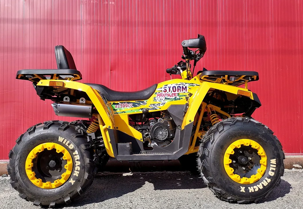 Квадроцикл PROMAX STORM 280 LUX в Ессентуках