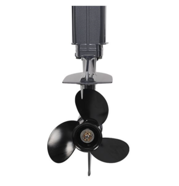 Лодочный мотор ALLFA CG Т40FW S в Ессентуках