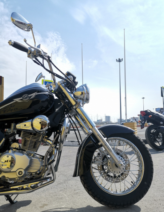 Мотоцикл MOTOLAND (МОТОЛЕНД) WOLF 250 в Ессентуках