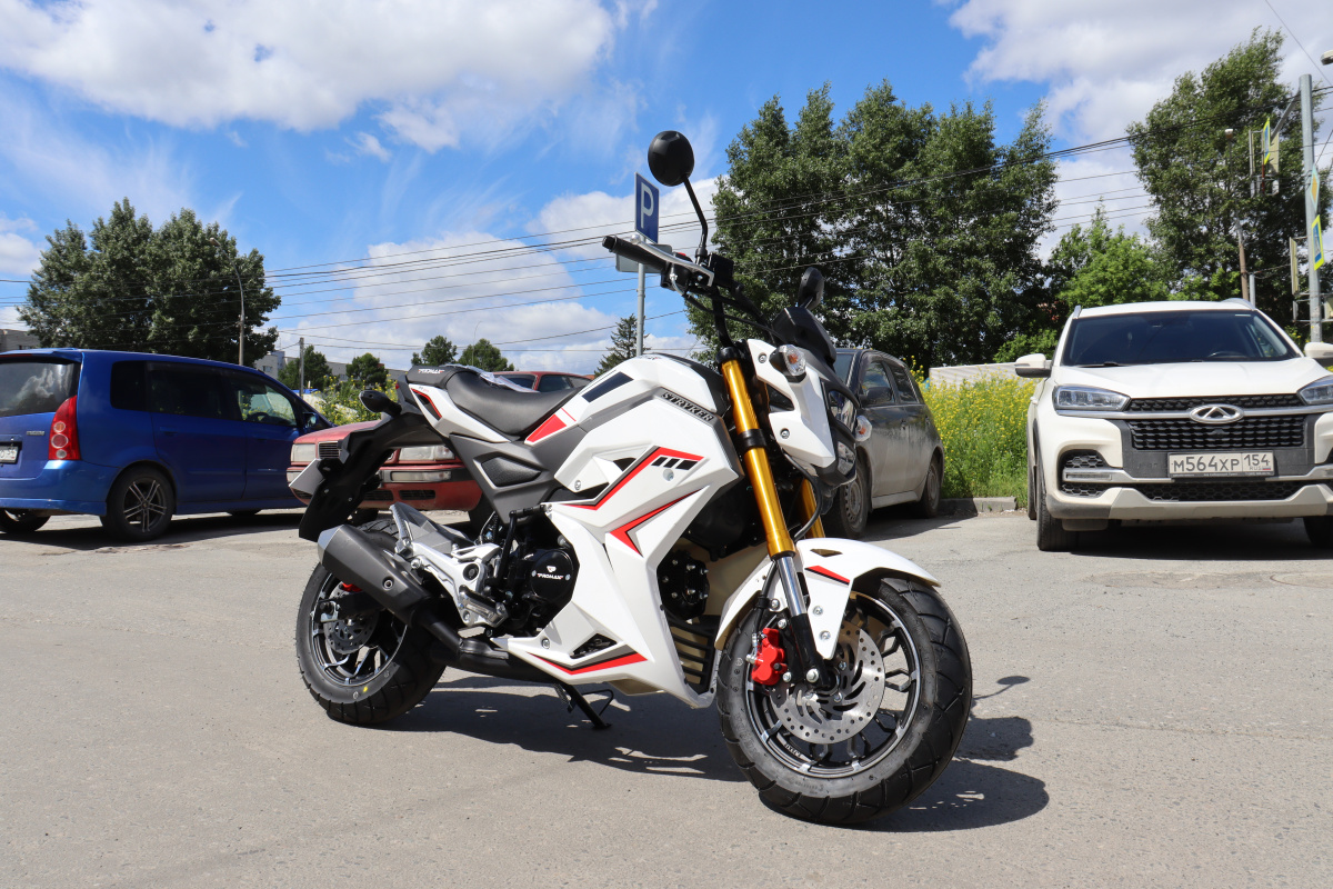 Мотоцикл PROMAX STRYKER 200(49) 2.0 в Ессентуках