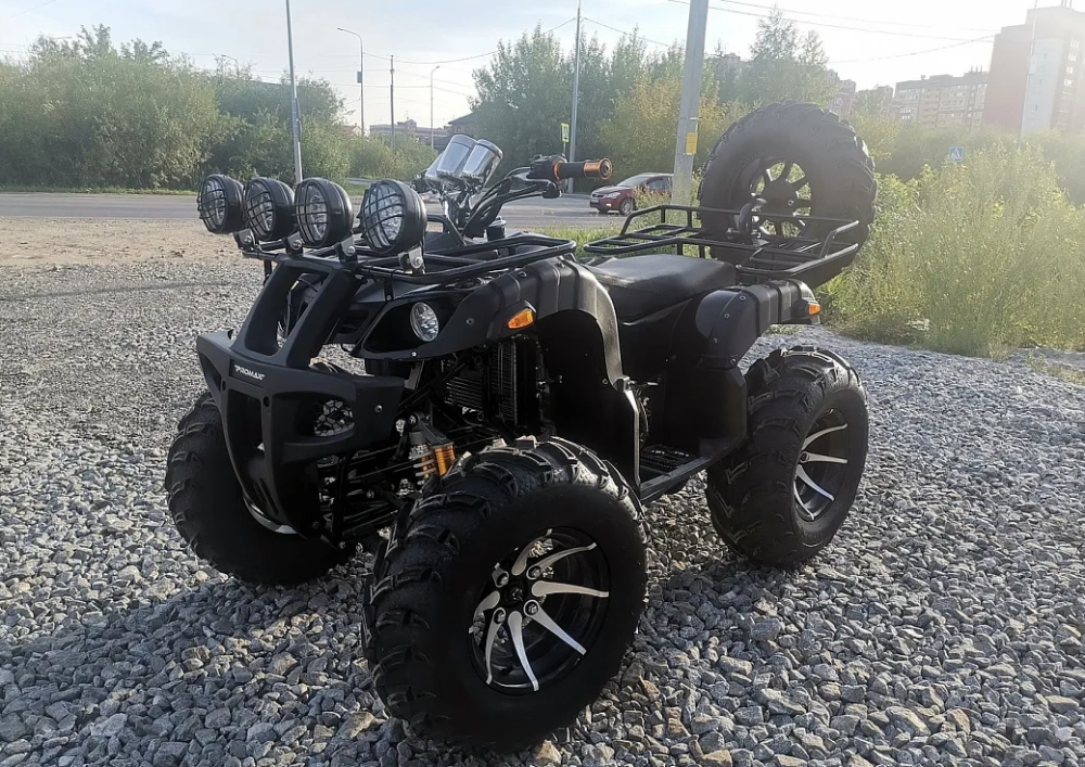 Квадроцикл PROMAX LEO 300 Max (кардан) в Ессентуках