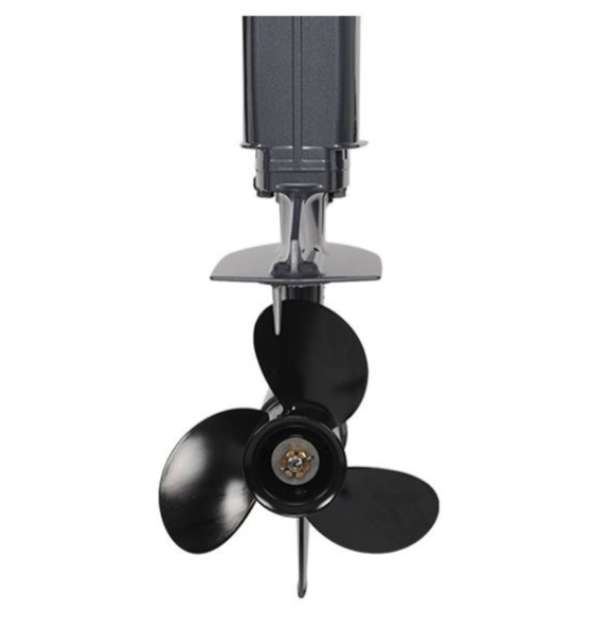 Лодочный мотор ALLFA CG Т40FWT S в Ессентуках