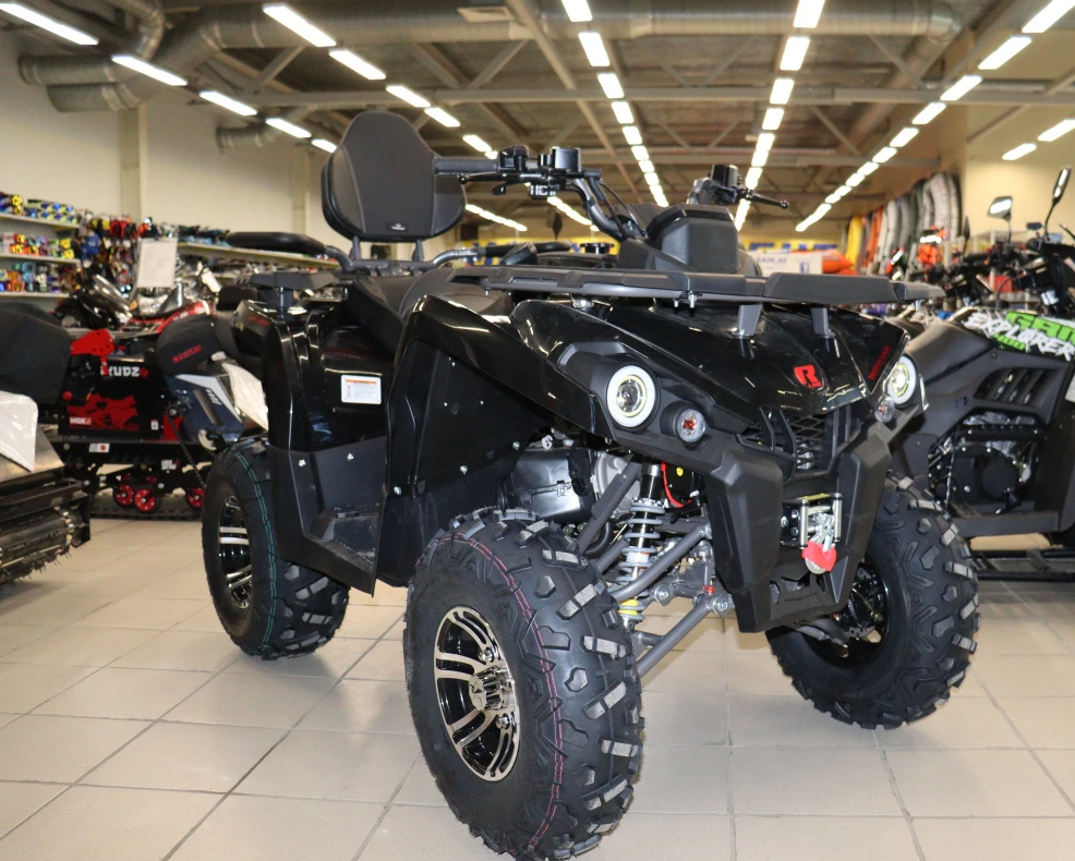 Квадроцикл PROMAX RENEGADE 300 LONG WINCH PRO (2025) в Ессентуках