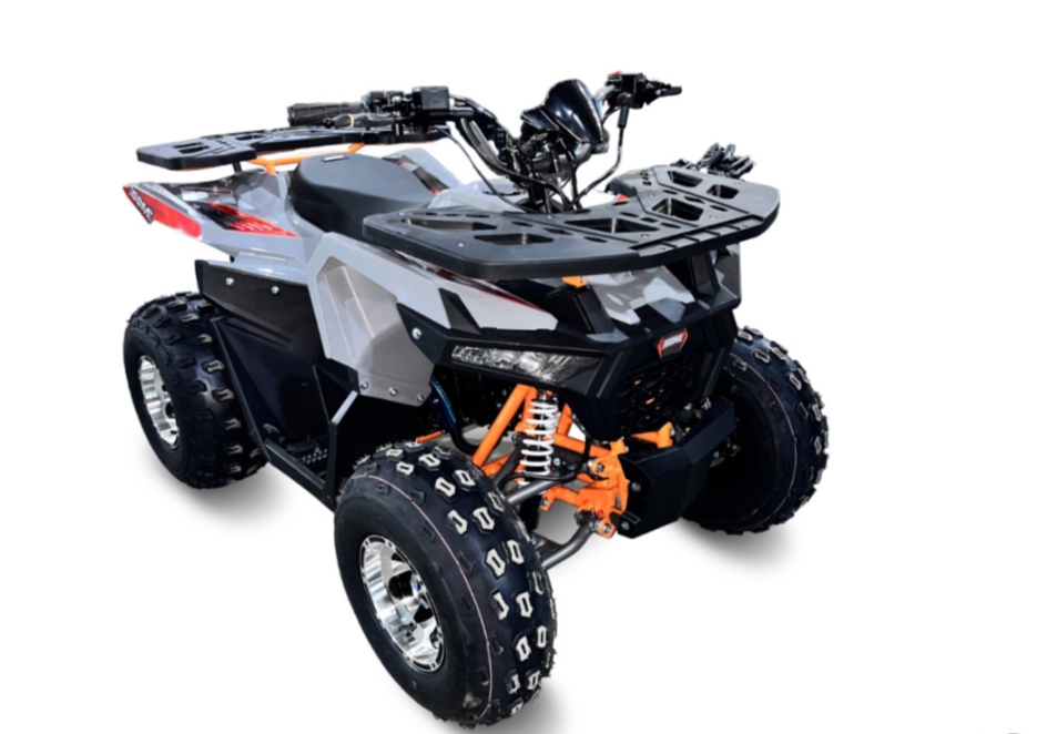 Квадроцикл GBM DAXTER 220 NEW PREMIUM в Ессентуках