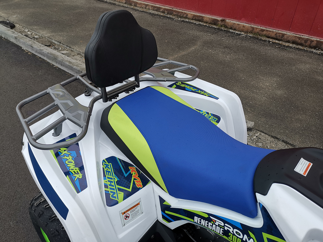 Квадроцикл PROMAX RENEGADE 280 LUX (2025) в Ессентуках