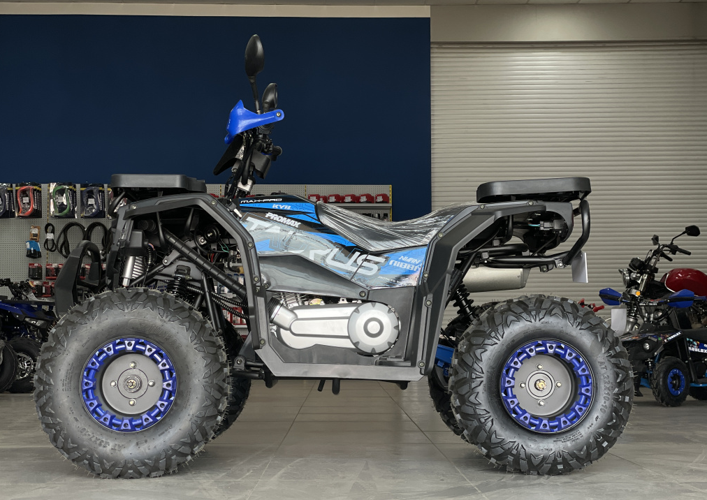 Квадроцикл PROMAX TAURUS 300 в Ессентуках