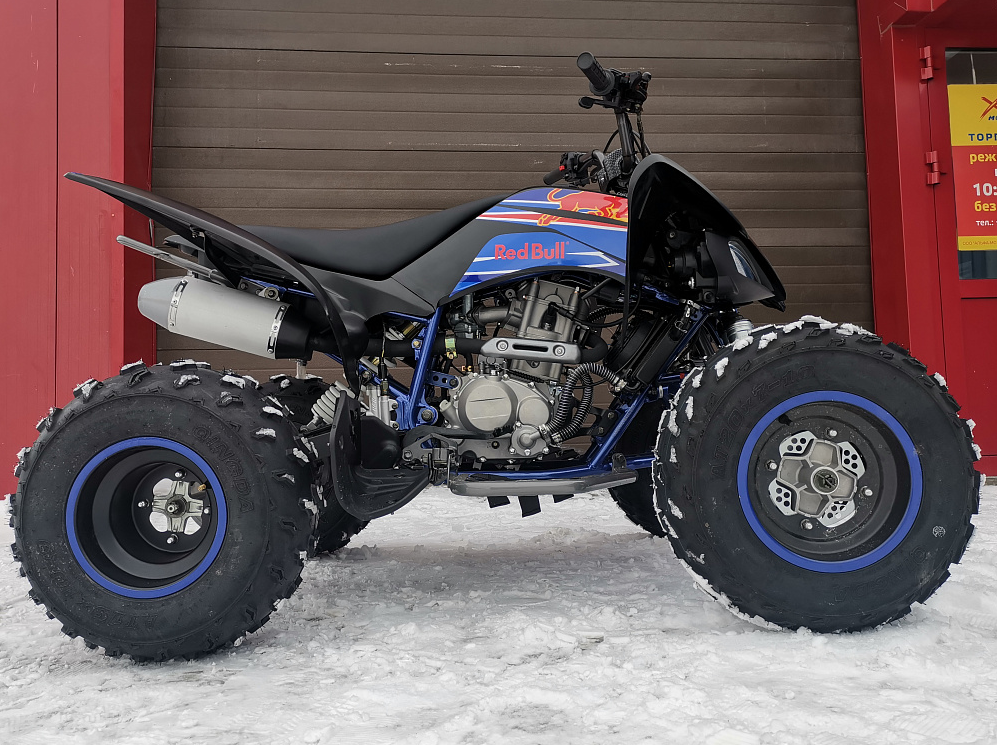 Квадроцикл PROMAX RAPTOR 300 NEW RedBull в Ессентуках