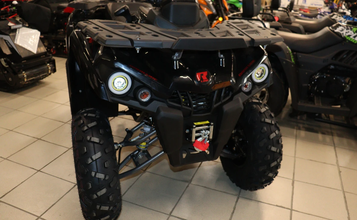 Квадроцикл PROMAX RENEGADE 300 LONG WINCH PRO (2025) в Ессентуках
