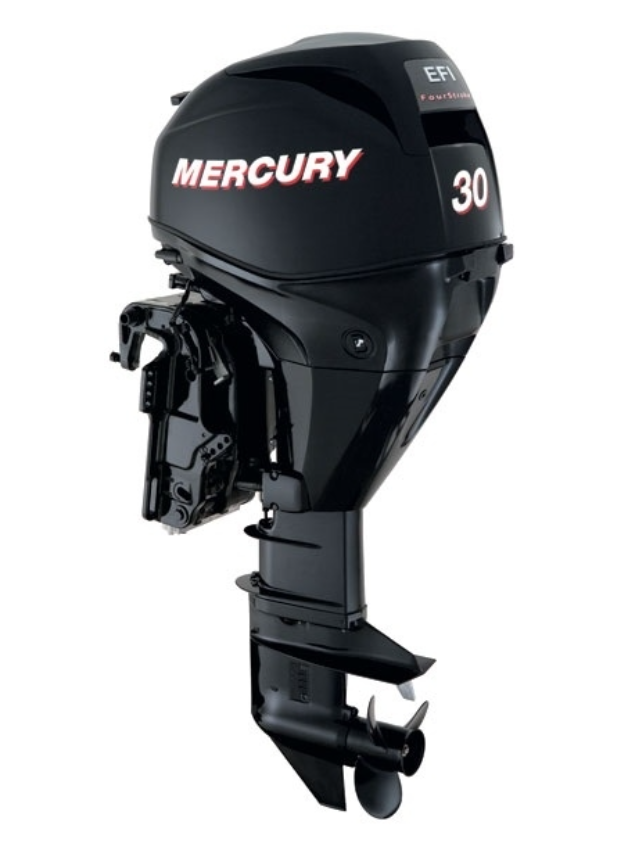 ЛОДОЧНЫЙ МОТОР MERCURY  F 30 ELH GA EFI в Ессентуках