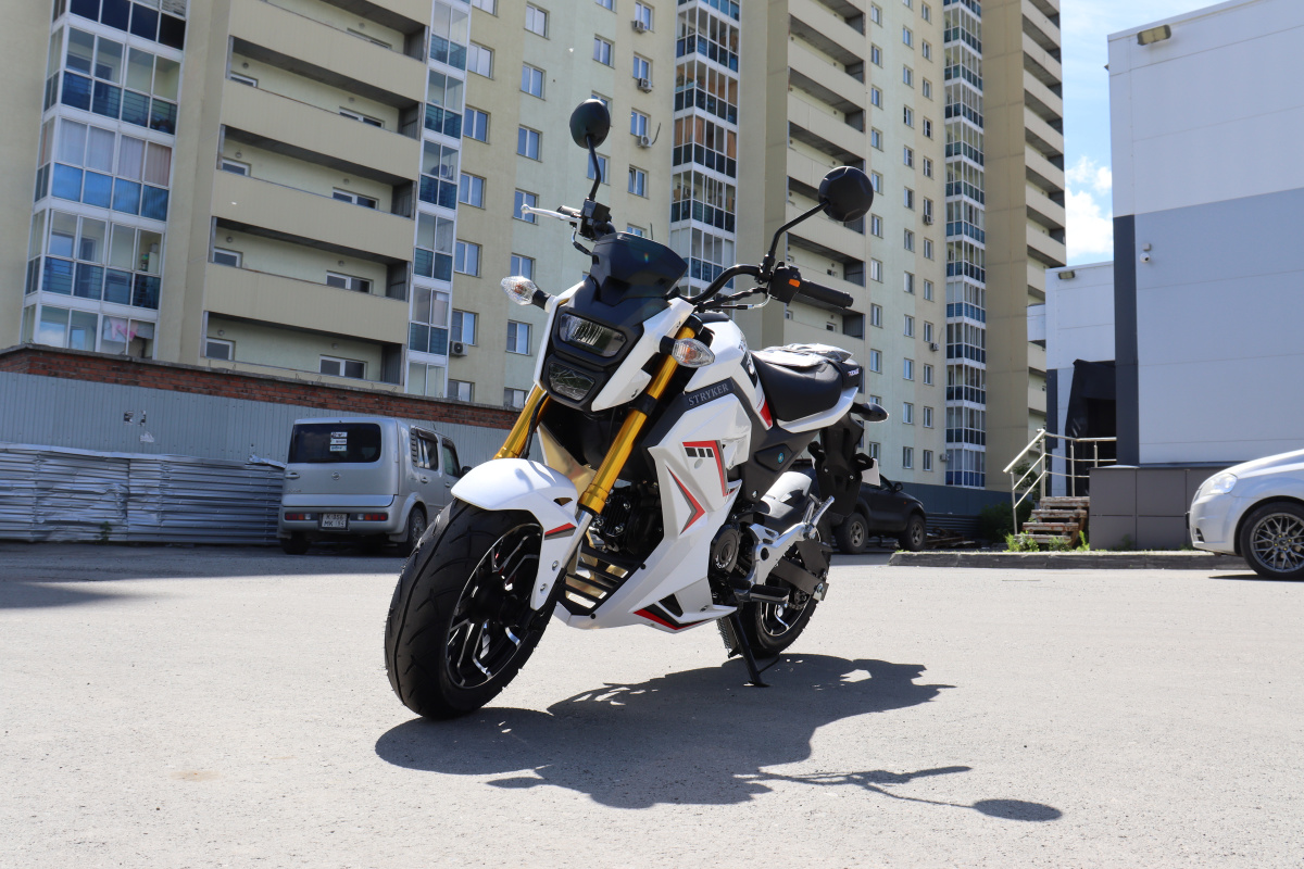 Мотоцикл PROMAX STRYKER 200(49) 2.0 в Ессентуках