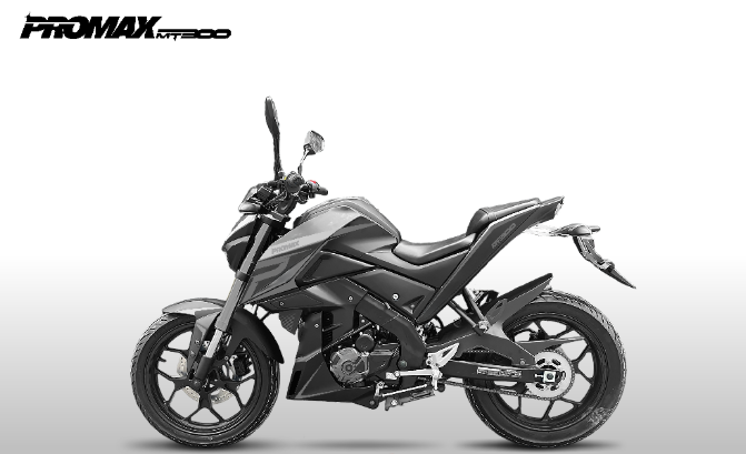 Мотоцикл PROMAX MT300 в Ессентуках