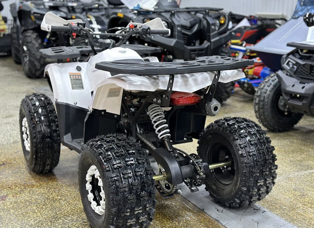 Квадроцикл PROMAX WILD 2.0 190 в Ессентуках