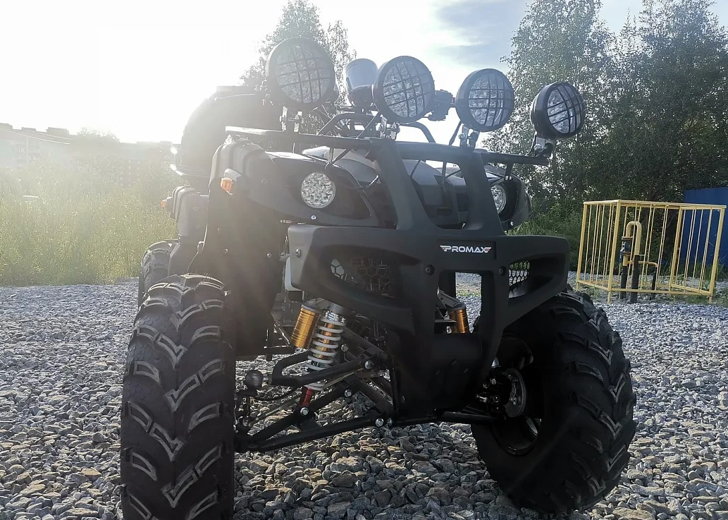 Квадроцикл PROMAX LEO 300 Max (кардан) в Ессентуках