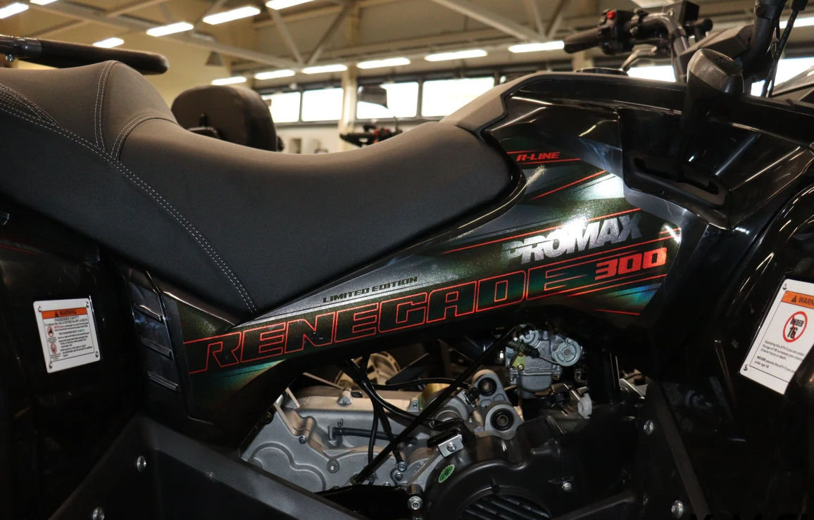 Квадроцикл PROMAX RENEGADE 300 LONG WINCH PRO (2025) в Ессентуках