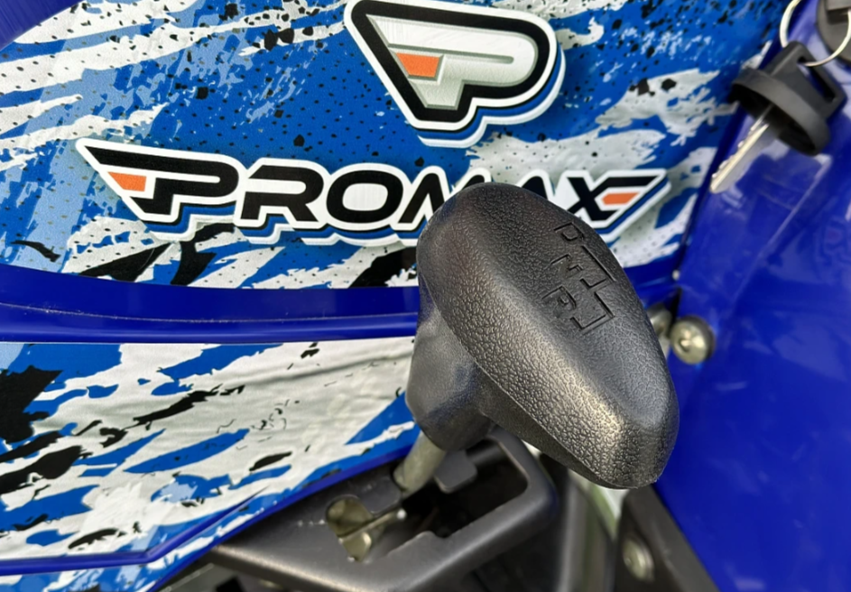  Квадроцикл PROMAX ATV 250 MAX (2025) в Ессентуках