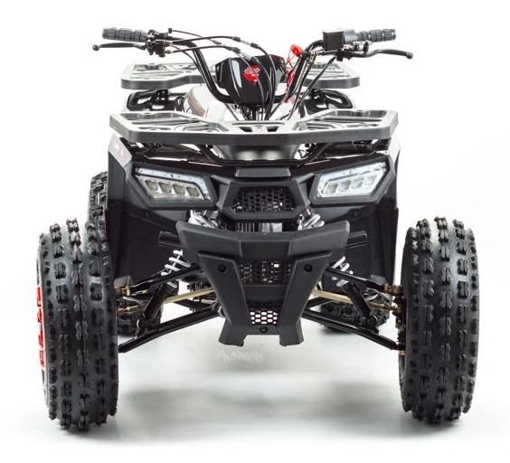 Квадроцикл PROMAX WILD 175 в Ессентуках