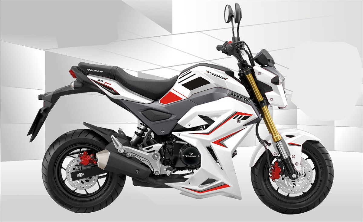 Мотоцикл PROMAX STRYKER 200(49) 2.0 в Ессентуках