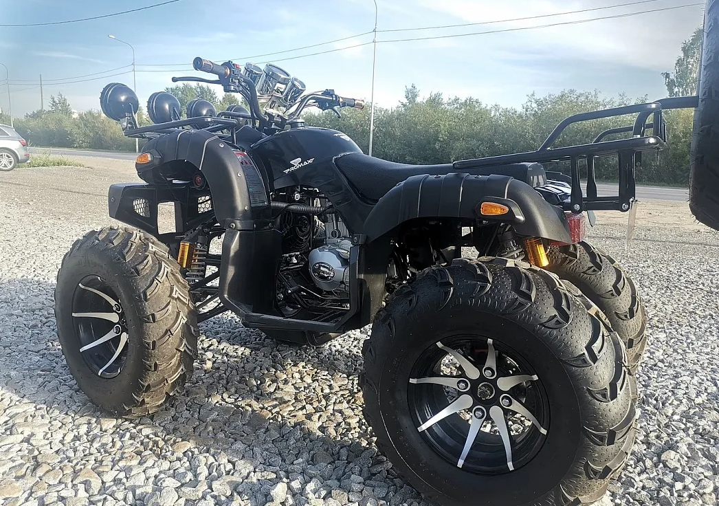 Квадроцикл PROMAX LEO 300 Max (кардан) в Ессентуках