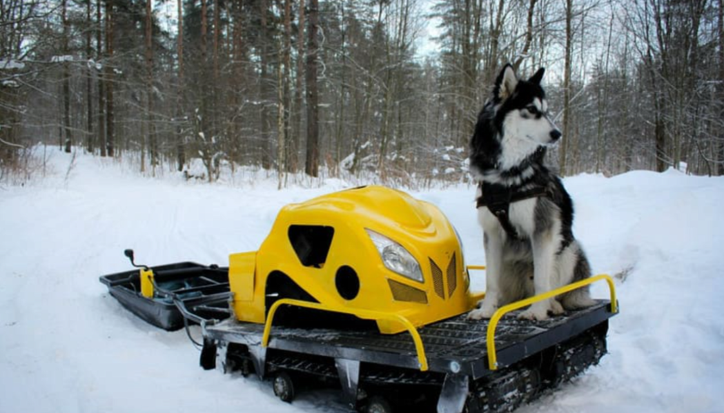 Мотобуксировщик LEBEDEV MOTORS ВОЛКОДАВ POWER V13 в Ессентуках
