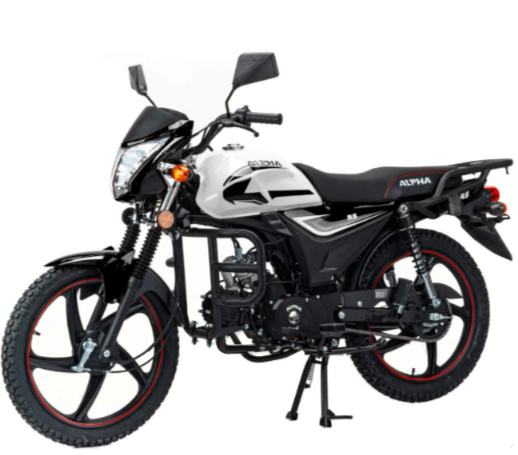 Мопед MOTOLAND (МОТОЛЕНД) Альфа RS 11 (LM48-B) в Ессентуках