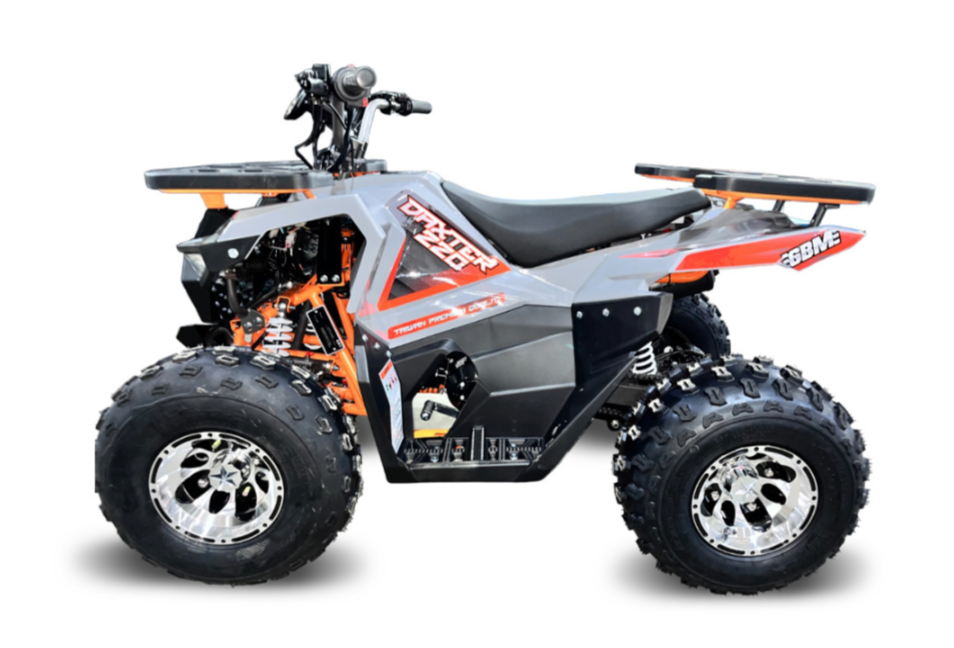 Квадроцикл GBM DAXTER 220 NEW PREMIUM в Ессентуках