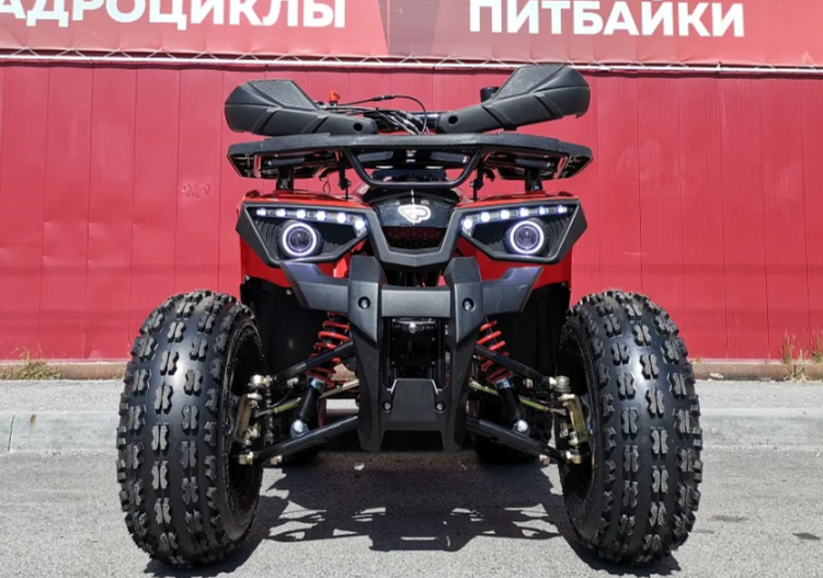 Квадроцикл PROMAX WILD 175 BASIC в Ессентуках