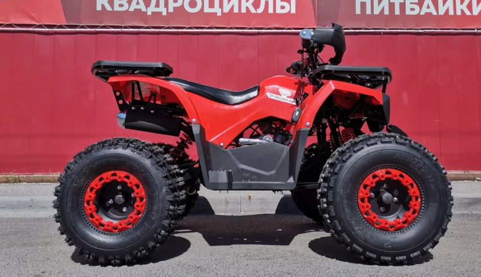 Квадроцикл PROMAX WILD 175 BASIC в Ессентуках