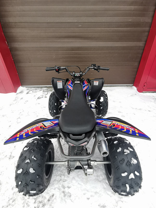 Квадроцикл PROMAX RAPTOR 300 NEW RedBull в Ессентуках