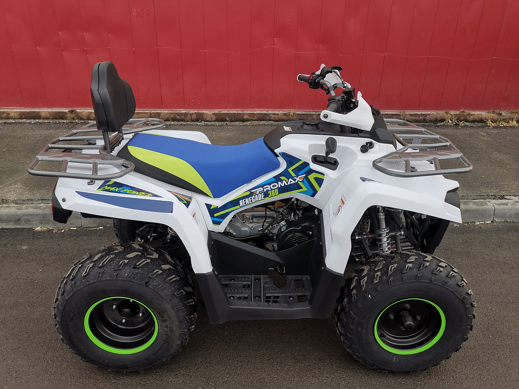 Квадроцикл PROMAX RENEGADE 280 LUX (2025) в Ессентуках