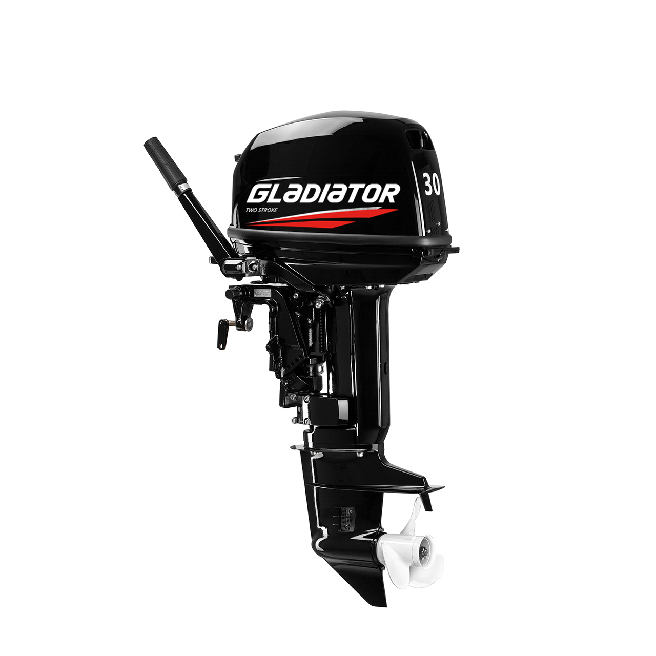 ЛОДОЧНЫЙ МОТОР GLADIATOR G30FHS в Ессентуках