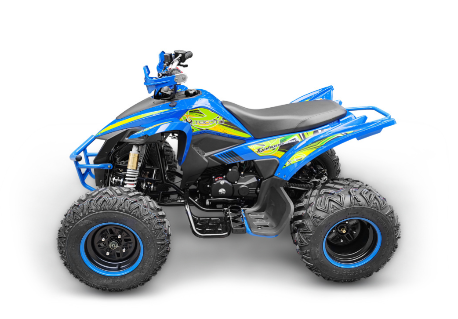 Квадроцикл YACOTA TYPHOON 250 в Ессентуках