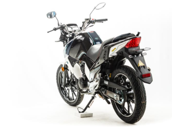 Мотоцикл MOTOLAND (МОТОЛЕНД) FIGHTER 250 в Ессентуках